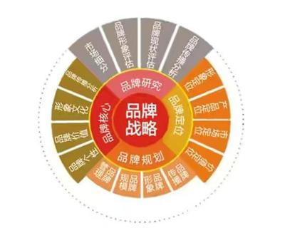 企业发展过程中品牌战略的重要性与品牌管理实践